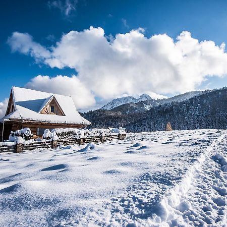 Willa TatryTop Domek pod Giewontem Zakopane Zewnętrze zdjęcie