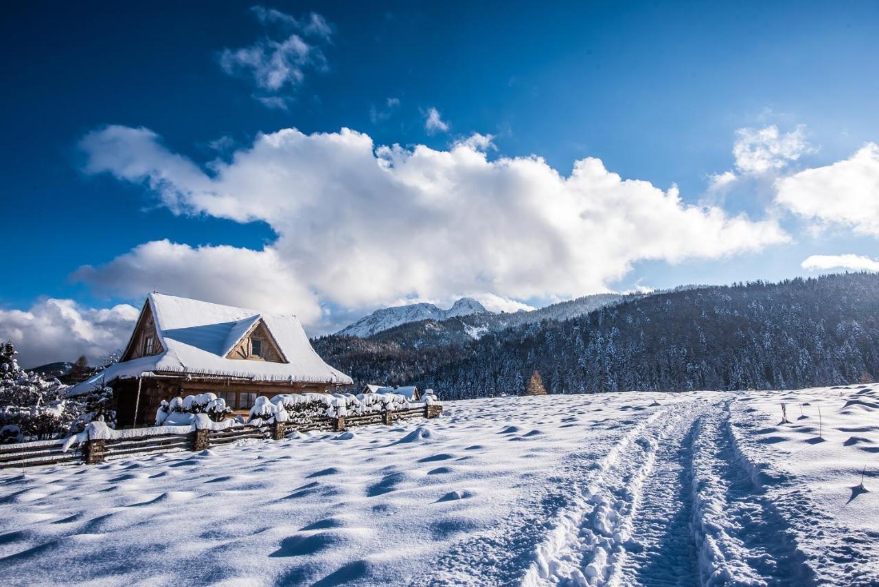 Willa TatryTop Domek pod Giewontem Zakopane Zewnętrze zdjęcie